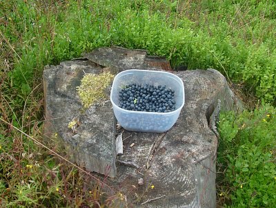 dscf8222-3.jpg