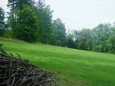 dscf8274.jpg