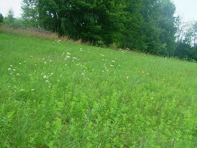 dscf8281.jpg