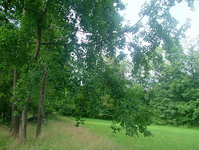 dscf8290.jpg