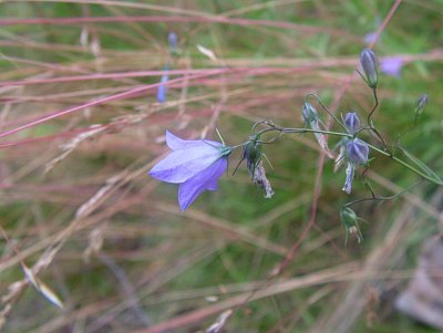 dscf8301-1.jpg