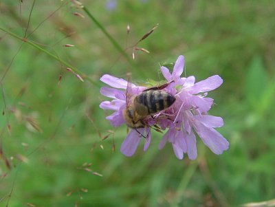 dscf8306-2.jpg