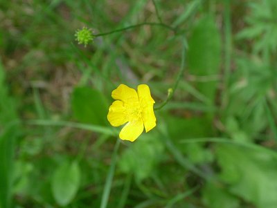 dscf8328-2.jpg