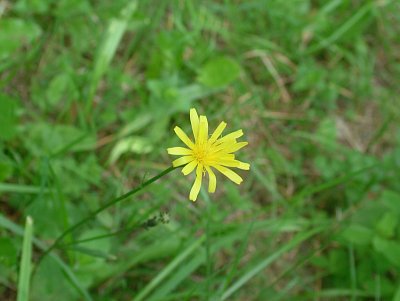 dscf8331.jpg
