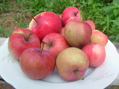dscf8486-2.jpg