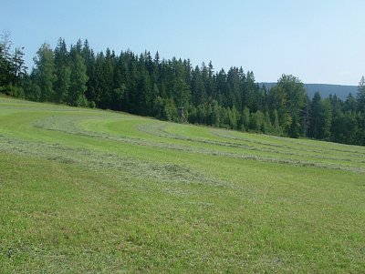 dscf8558-2.jpg