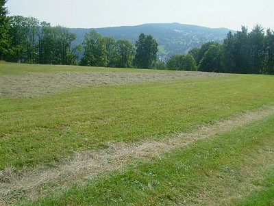 dscf8567.jpg