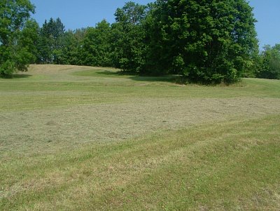 dscf8619.jpg