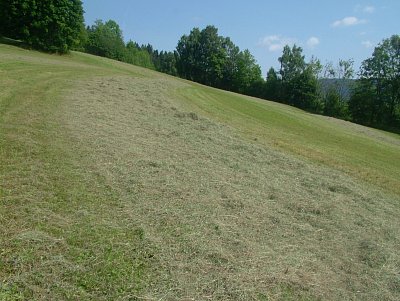 dscf8623.jpg