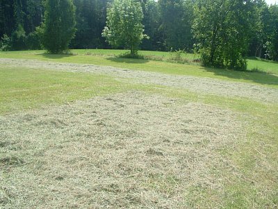 dscf8624-1.jpg