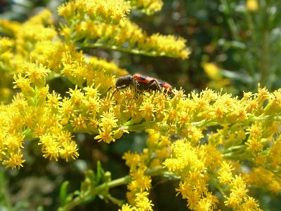 dscf8823.jpg