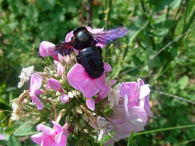 dscf8851.jpg
