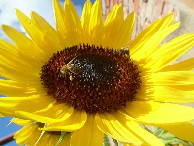dscf9028-1.jpg