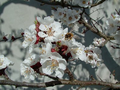dscf9490.jpg