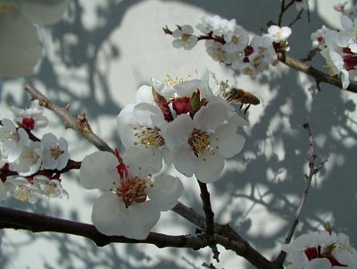 dscf9495.jpg
