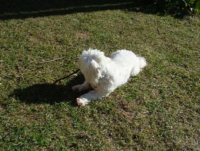 dscf9535.jpg