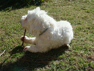 dscf9538.jpg