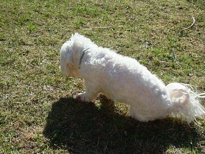 dscf9543.jpg