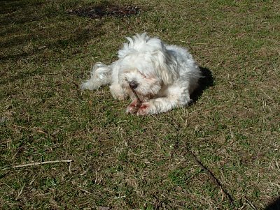 dscf9544.jpg