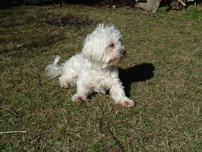 dscf9546.jpg