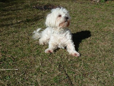 dscf9547.jpg