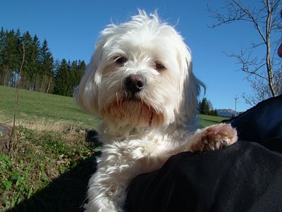 dscf9553.jpg