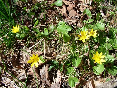 dscf9649.jpg