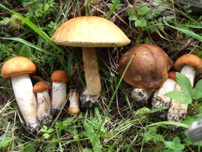 dscf9671.jpg