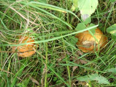dscf9673.jpg
