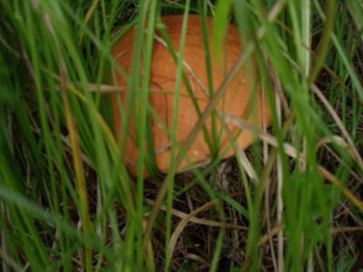 dscf9679.jpg