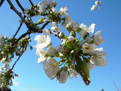 dscf9721.jpg