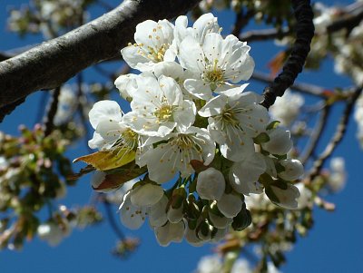 dscf9722.jpg