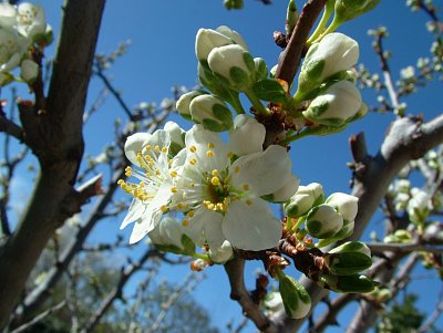 dscf9725.jpg