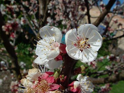 dscf9731.jpg