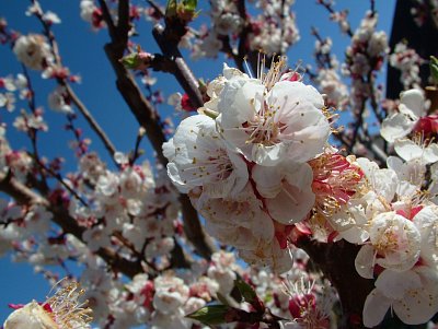 dscf9735.jpg