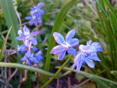 dscf9741.jpg