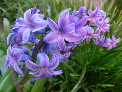 dscf9745.jpg