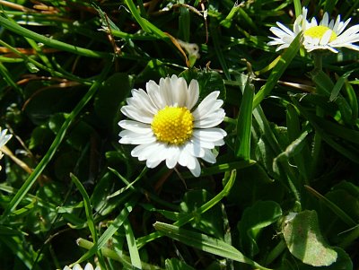 dscf9751.jpg