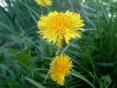 dscf9756.jpg