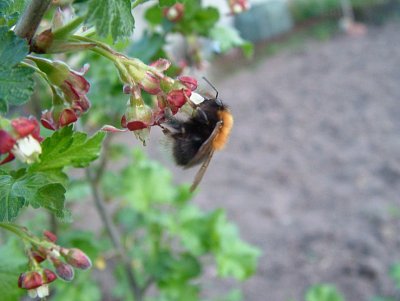dscf9777.jpg