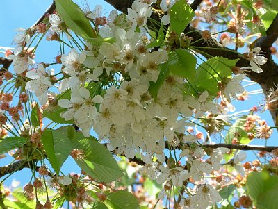 dscf9821.jpg