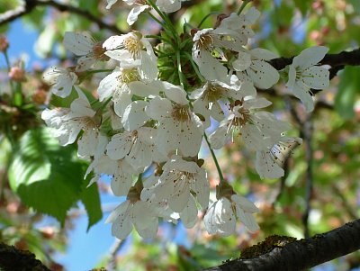 dscf9822.jpg