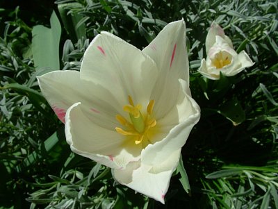 dscf9839.jpg