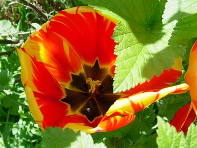 dscf9847.jpg