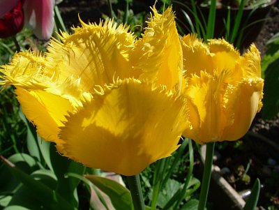 dscf9853.jpg