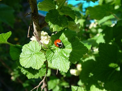 dscf9870.jpg