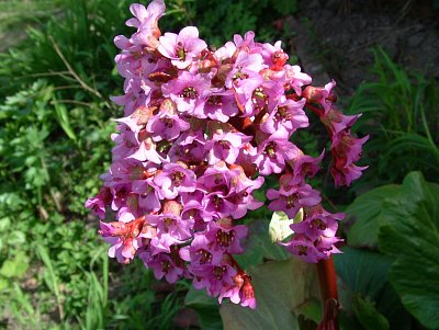 dscf9878.jpg