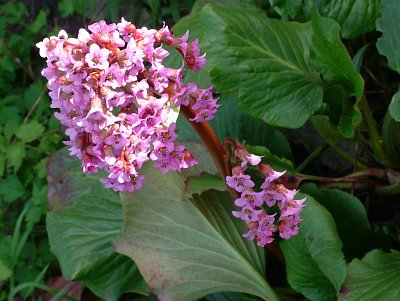 dscf9879-1.jpg