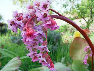dscf9886.jpg