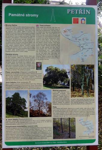 dscn0459-1.jpg